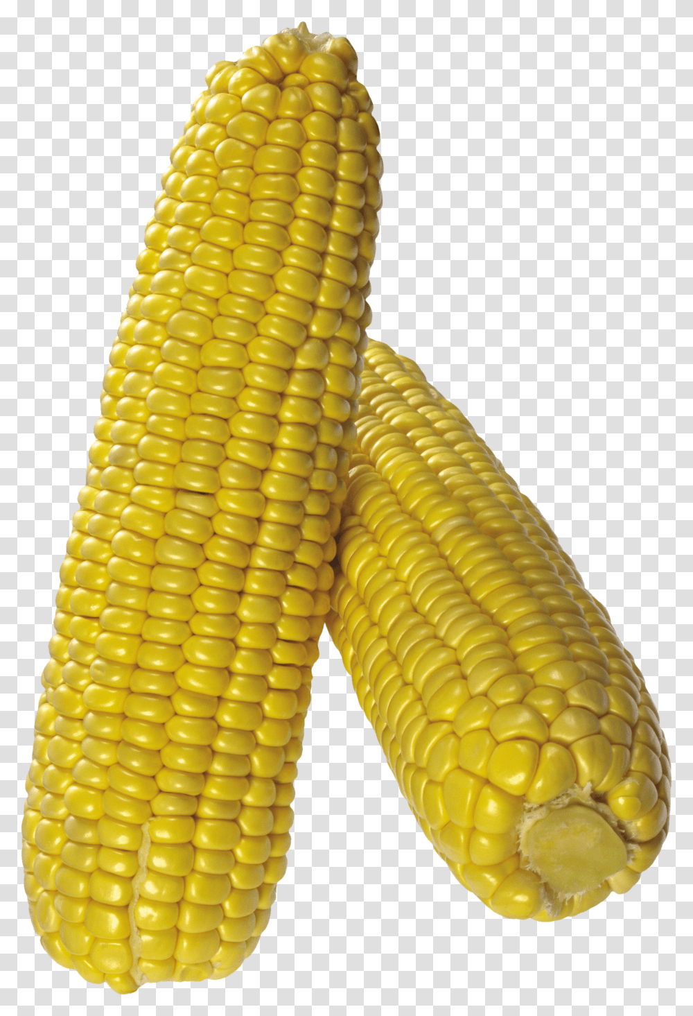 Corn, Vegetable Transparent Png