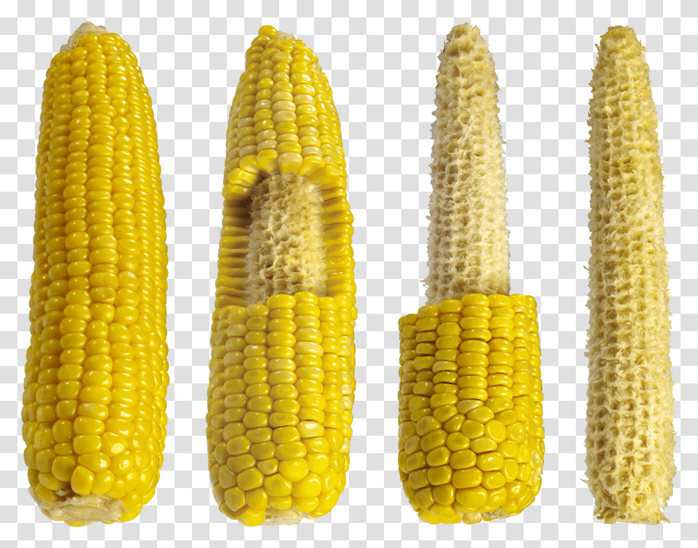 Corn, Vegetable Transparent Png