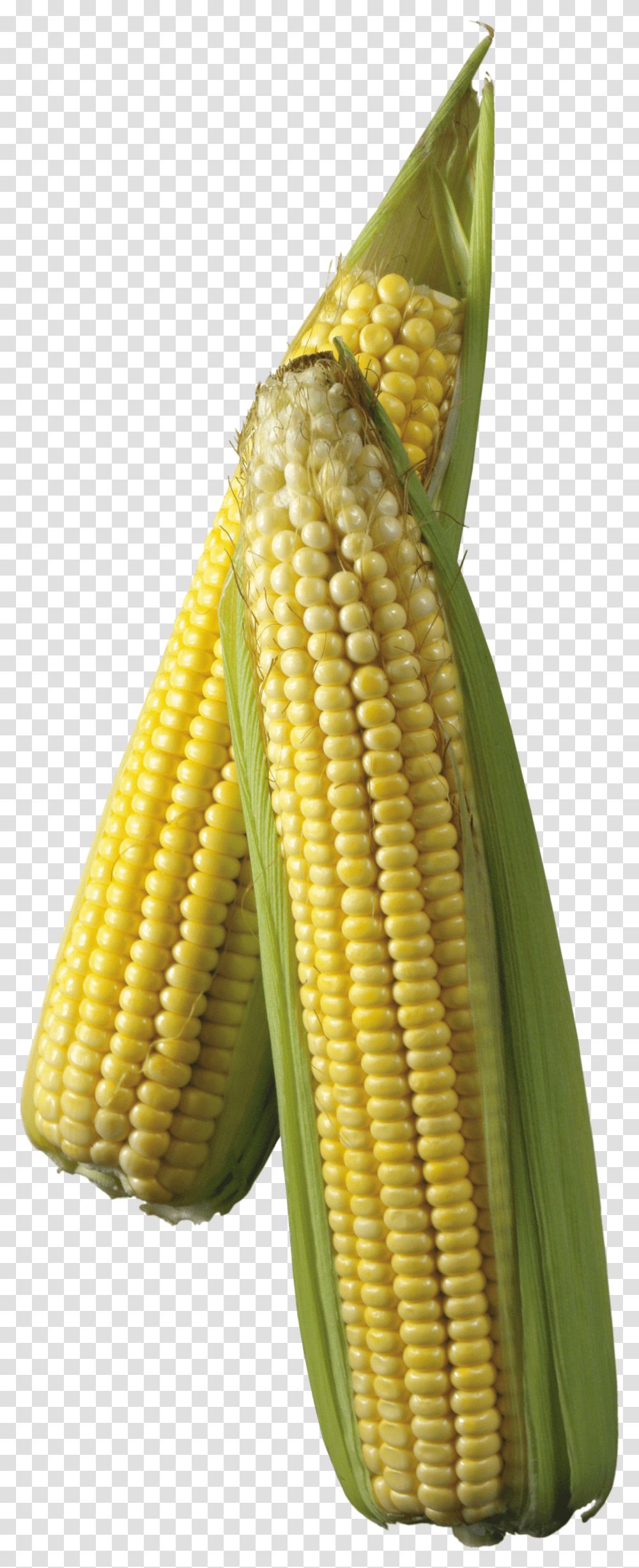 Corn, Vegetable Transparent Png