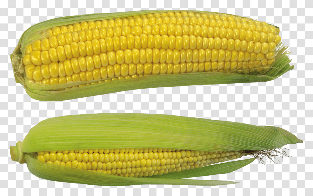 Corn, Vegetable Transparent Png