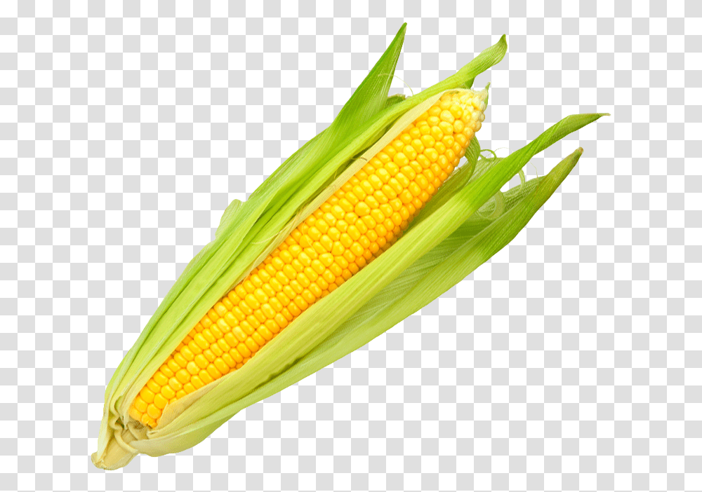 Corn Welcome To Grnsaksmstarna Majskolbe, Plant, Vegetable, Food Transparent Png