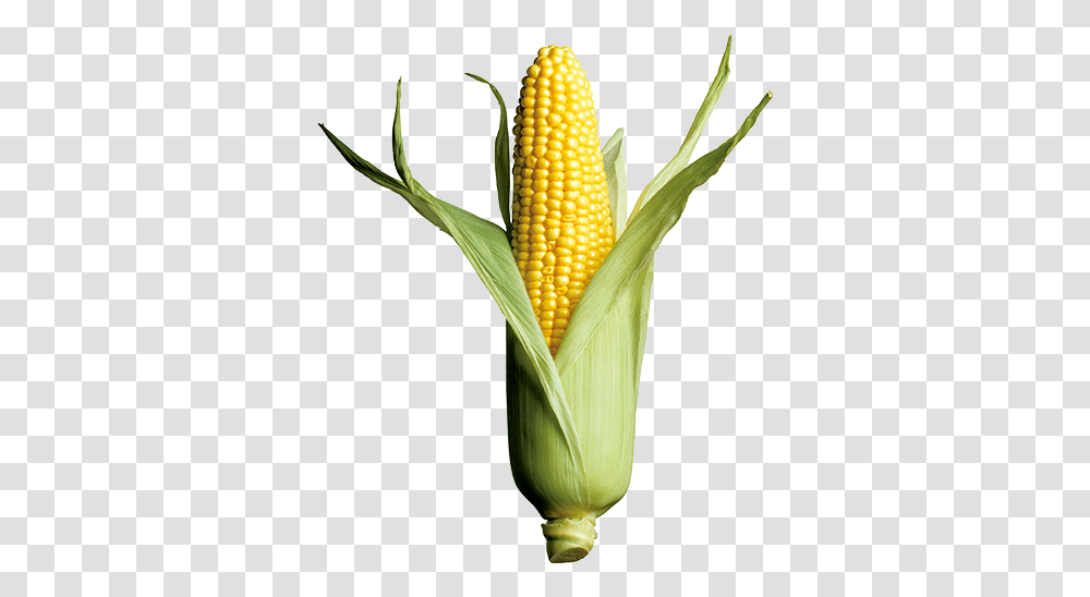 Corn Yellow Clipart Images One Corn, Plant, Vegetable, Food, Pineapple Transparent Png