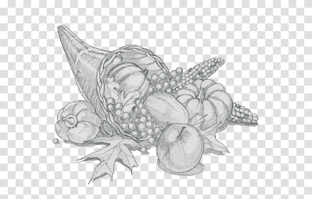 Cornacopia Cornucopia Sketch, Drawing, Doodle, Plant Transparent Png
