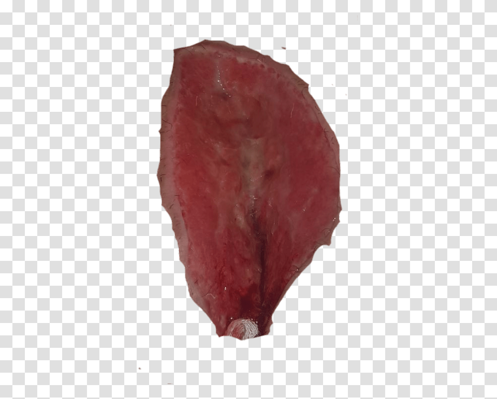 Corned Beef, Animal, Sea Life, Mouth, Lip Transparent Png