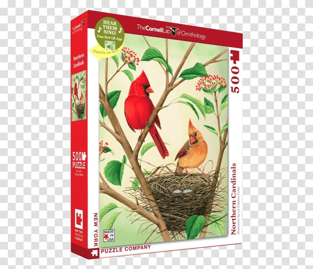Cornell Lab Bag Cardinal, Bird, Animal Transparent Png