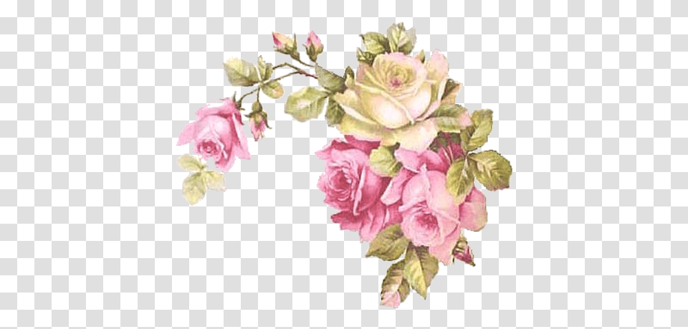 Corner Flowers Rose Pink Cream Vintage Corner Pink Rose Vintage, Plant, Graphics, Art, Blossom Transparent Png