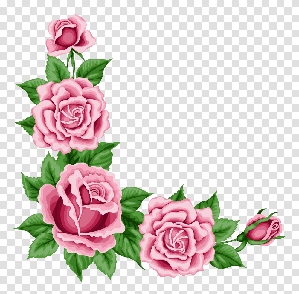 Corner Rose Clipart, Plant, Flower, Blossom, Carnation Transparent Png