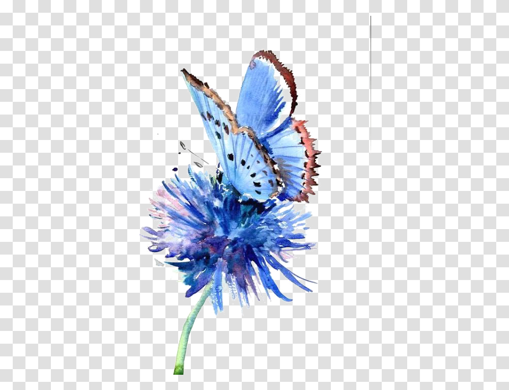 Cornflower Drawing Blue Watercolor Butterfly Drawing, Crystal, Purple, Insect, Invertebrate Transparent Png