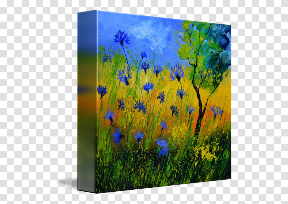 Cornflower Drawing Meadow Flower Jasione Montana, Canvas, Modern Art, Painting, Paint Container Transparent Png