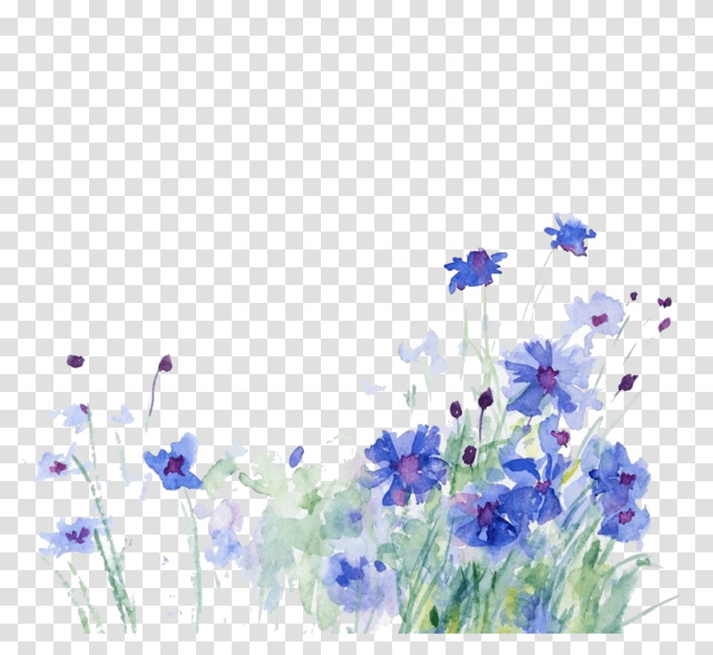 Cornflower Drawing Watercolor Cornflower, Floral Design, Pattern Transparent Png