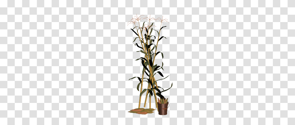 Cornstalk Clip Art, Plant, Tree, Flower, Blossom Transparent Png