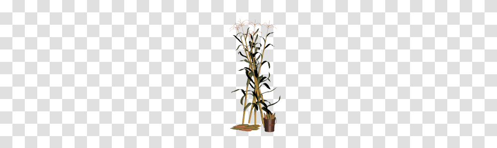 Cornstalk Clip Art, Wood, Tree, Plant, Coat Rack Transparent Png