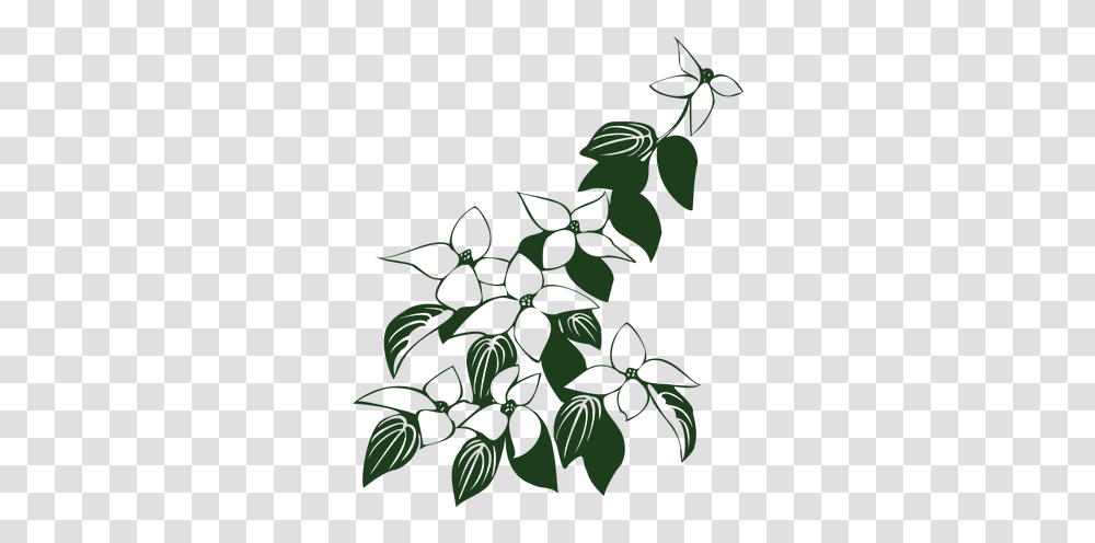 Cornus Kousa Dogwood Flowers Clipart Flowers And Leaves Black And White, Leaf, Plant, Green, Stencil Transparent Png