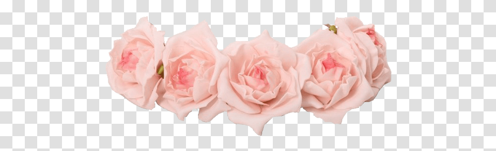 Coroas De Flores Pastel Pink Flower Crown Pink Rose Crown, Plant, Blossom, Pillow, Cushion Transparent Png