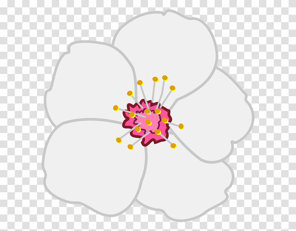 Corona De Flores Vector Clip Art Library Almond Tree Flower Clipart, Plant, Blossom, Hibiscus, Petal Transparent Png