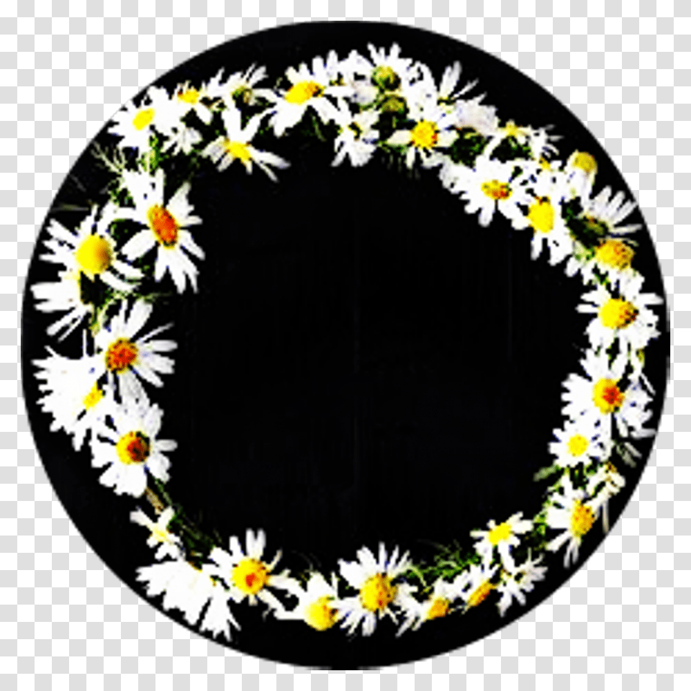 Corona De Margaritas Frases Todaypic Clipart Circle, Label, Wreath, Plant Transparent Png