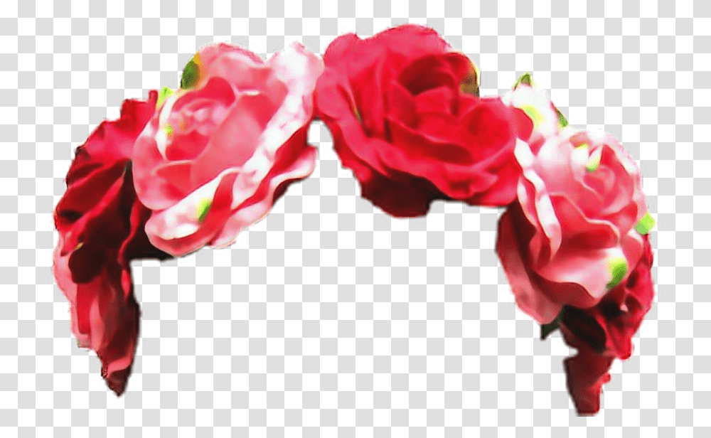 Corona De Rosas, Plant, Flower, Blossom, Geranium Transparent Png