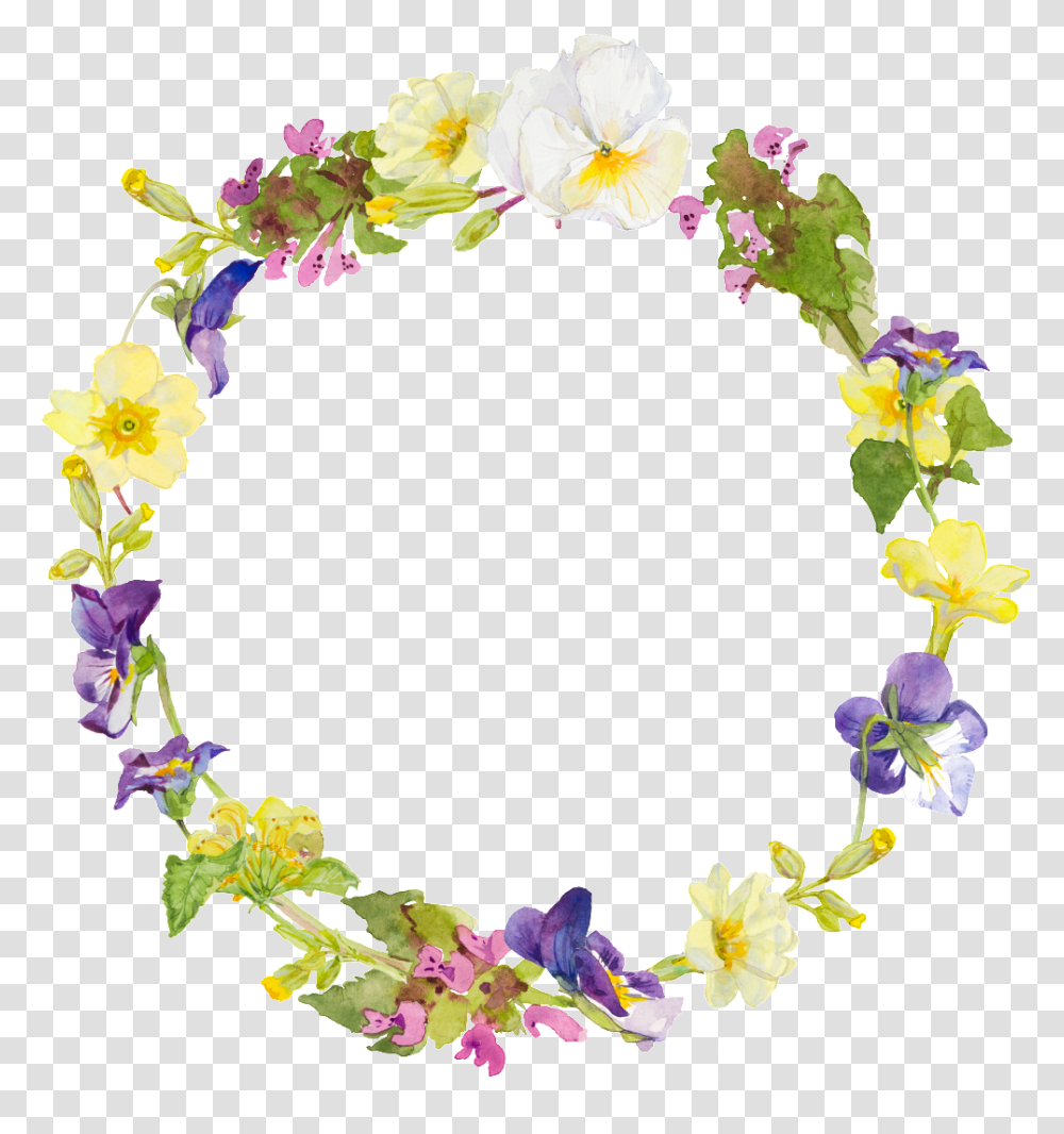 Corona Vector Picture Frame, Plant, Flower, Blossom Transparent Png