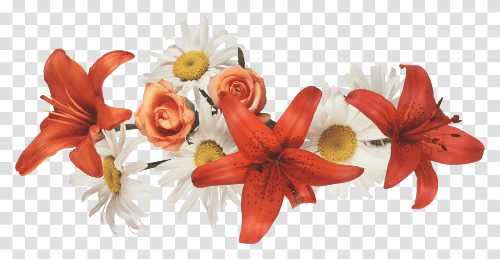 Coronas De Flores, Plant, Flower, Flower Arrangement, Flower Bouquet Transparent Png