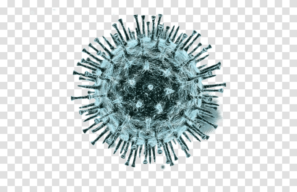Coronavirus, Chandelier, Lamp, Crystal, Snowflake Transparent Png