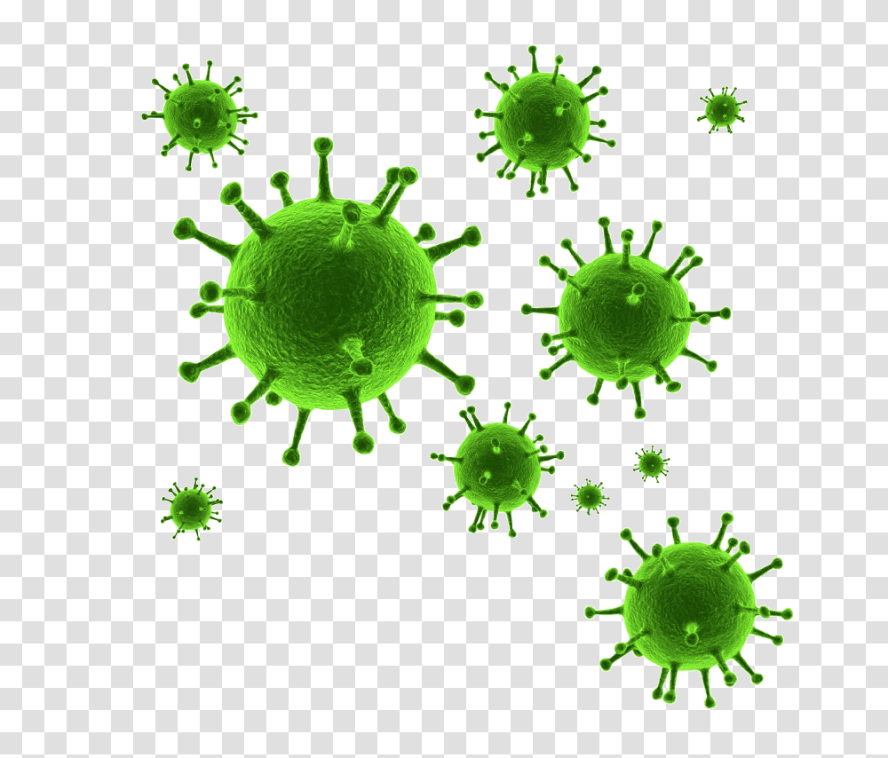 Coronavirus, Green, Plant, Invertebrate, Animal Transparent Png