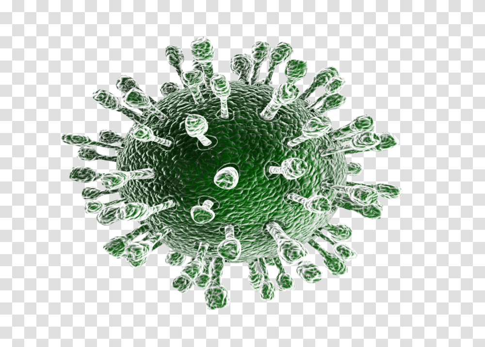 Coronavirus, Plant, Doodle, Drawing Transparent Png