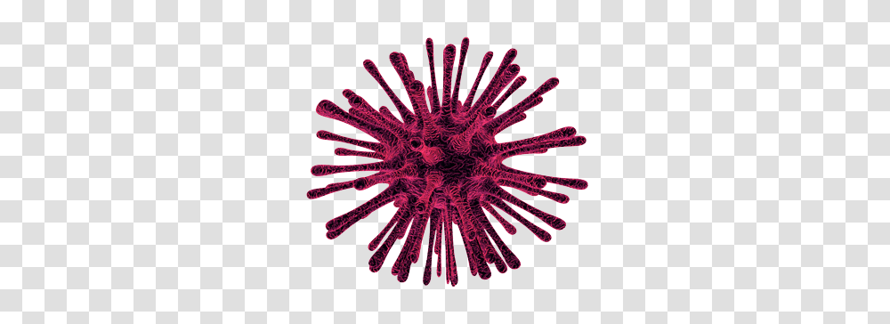 Coronavirus, Purple, Dye, Coil, Spiral Transparent Png