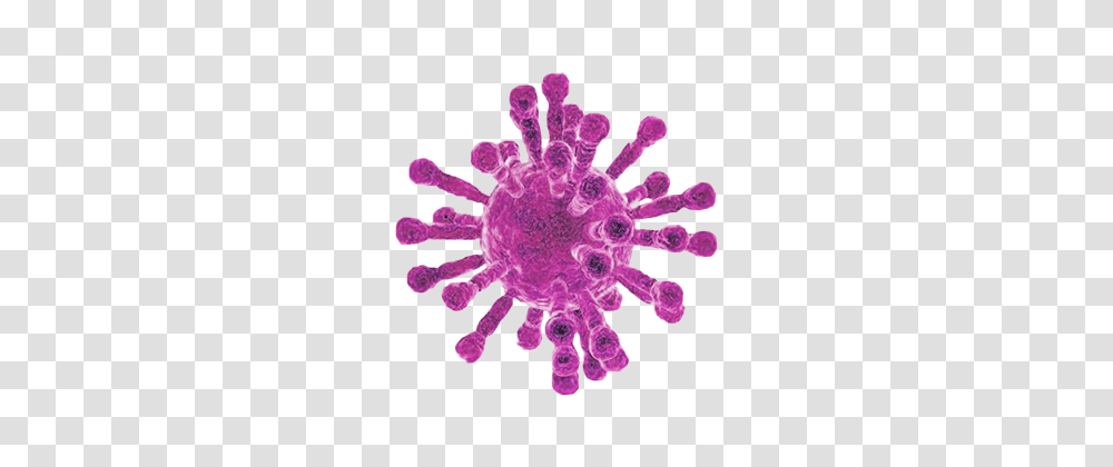 Coronavirus, Purple, Light, Stain Transparent Png
