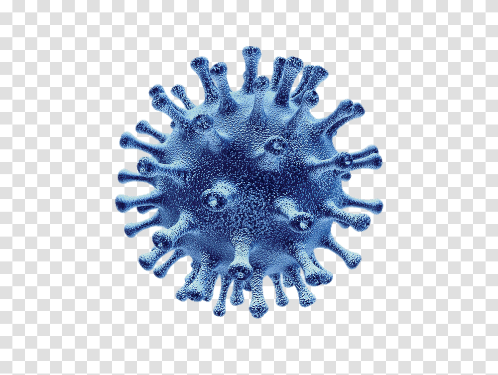 Coronavirus, Sea Life, Animal, Invertebrate, Pattern Transparent Png