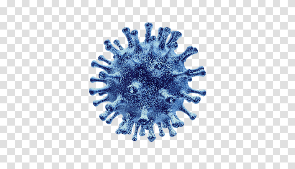 Coronavirus, Sea Life, Animal, Invertebrate, Sponge Animal Transparent Png