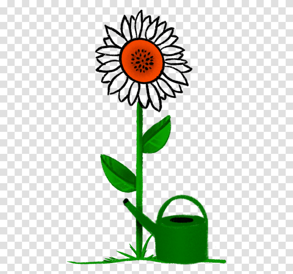 Corporate Gifts Clouberry Sunflower, Plant, Leaf, Green, Soil Transparent Png