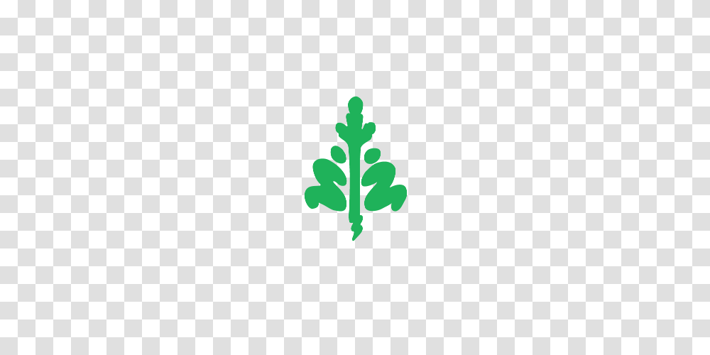 Corporate Tree Planting Tree Canada, Potted Plant, Vase, Jar, Pottery Transparent Png