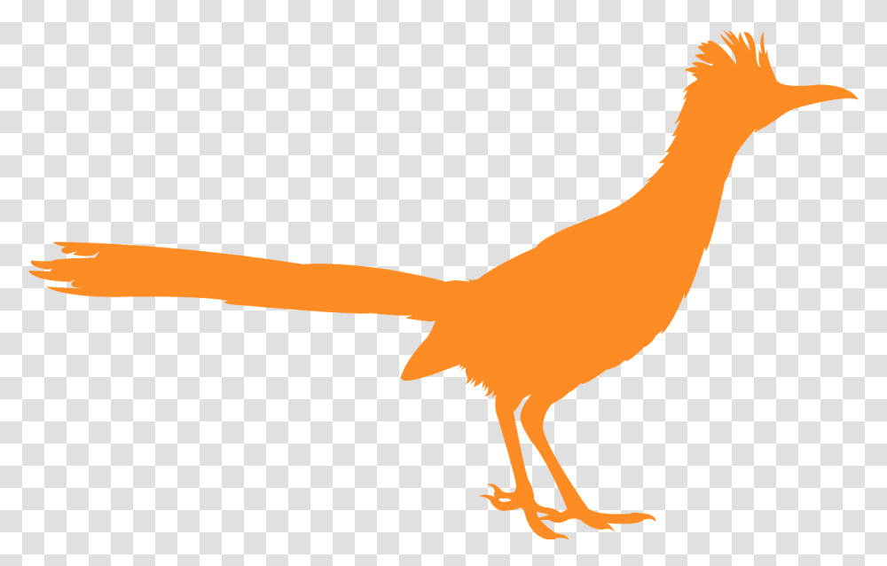 Correcaminos Vector, Bird, Animal, Flamingo, Beak Transparent Png