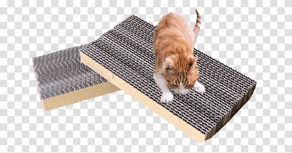 Corrugated Cardboard Rectangle Cat Scratch Cat Grabs Treat, Machine, Mat, Doormat, Ramp Transparent Png