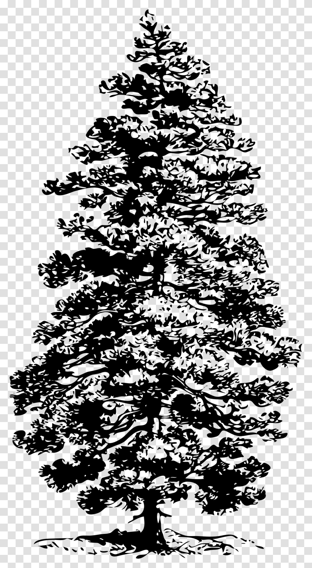 Corsican Pine Svg Clip Arts Pine Tree Clip Art, Gray, World Of Warcraft Transparent Png
