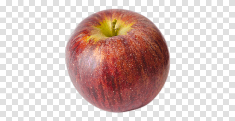 Cortland, Apple, Fruit, Plant, Food Transparent Png