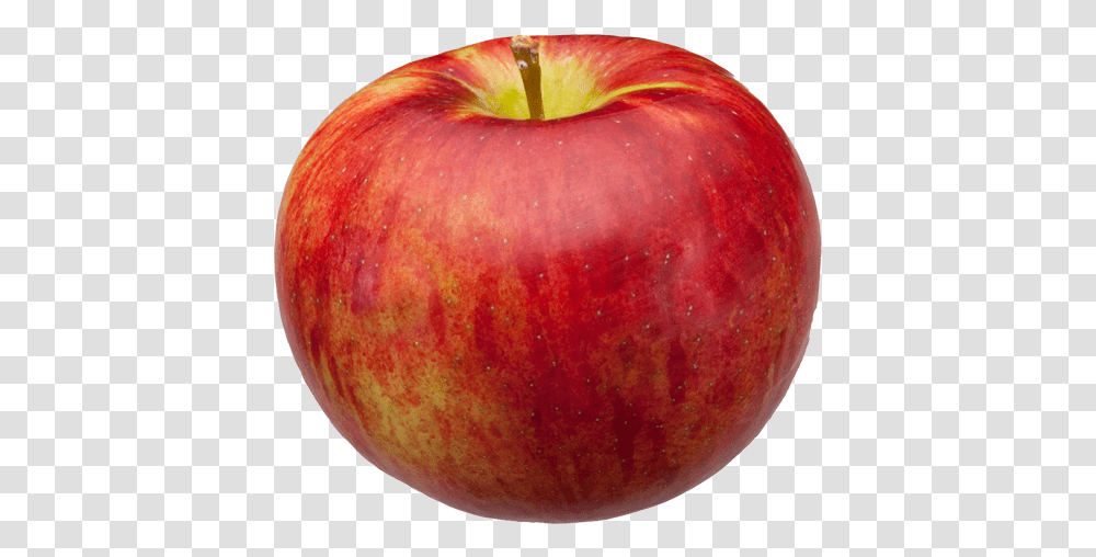 Cortland Apple, Fruit, Plant, Food Transparent Png