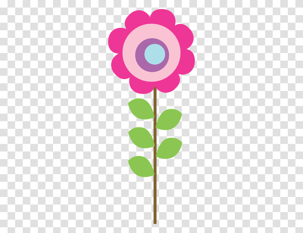 Corujinhas, Plant, Flower, Blossom, Petal Transparent Png