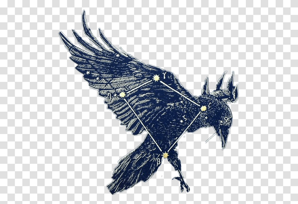 Corvus Constellations Stars Blue Astronomy Corvus Corvus Constellation, Bird, Animal, Art Transparent Png