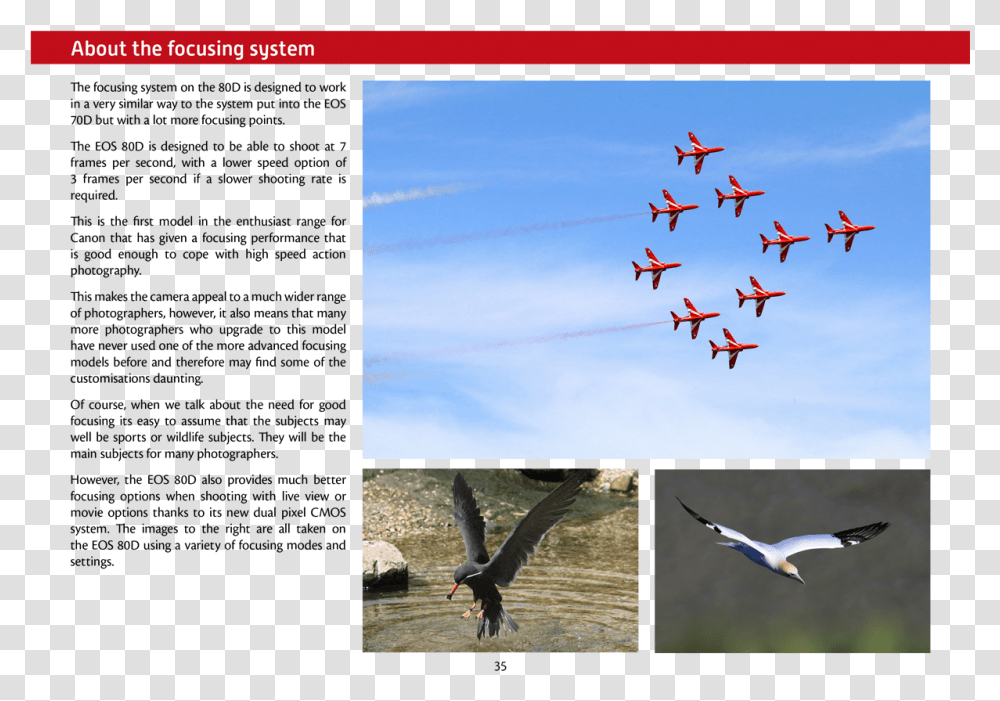 Cosford, Bird, Animal, Flying, Airplane Transparent Png