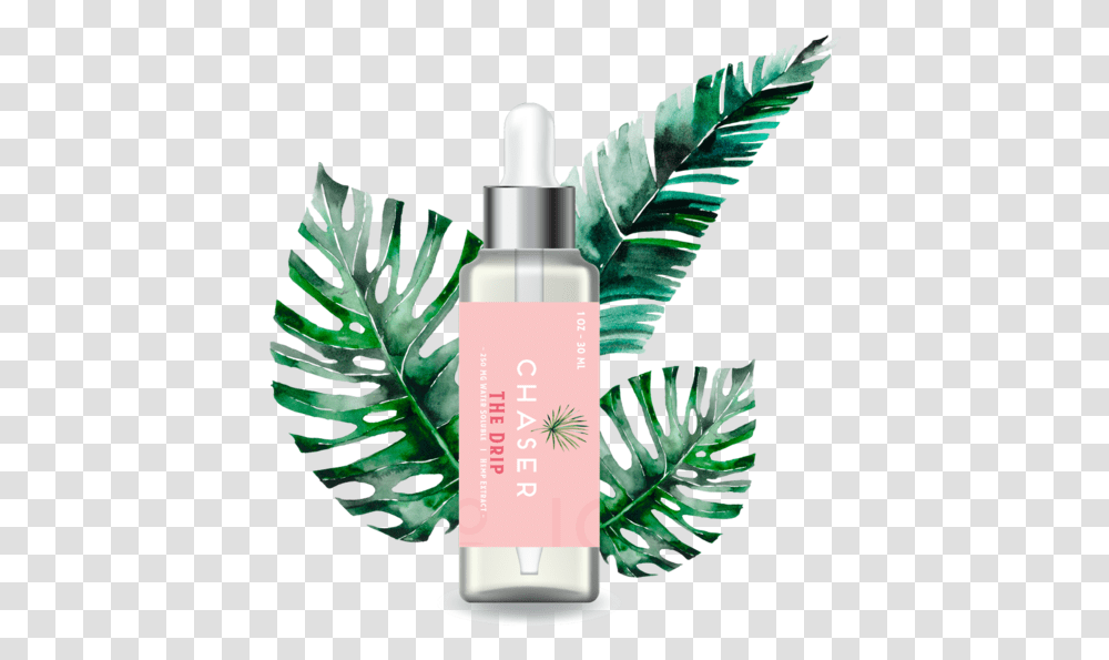 Cosmetics, Bottle, Lotion, Plant, Leaf Transparent Png