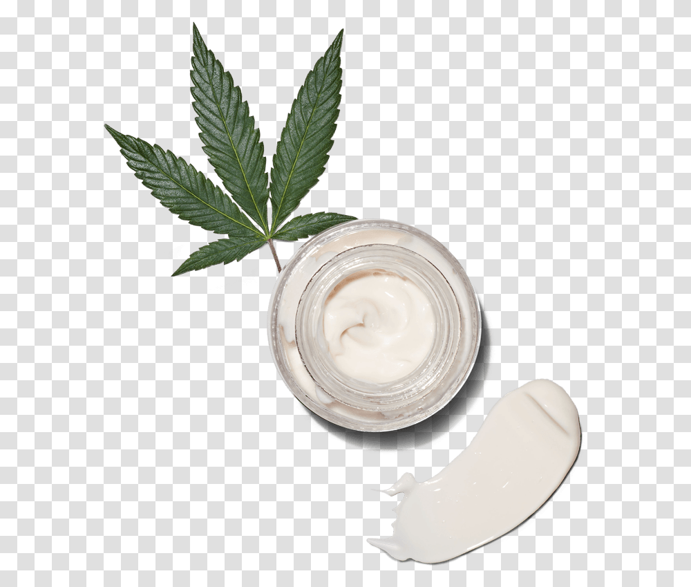 Cosmetics, Plant, Leaf, Food, Mayonnaise Transparent Png