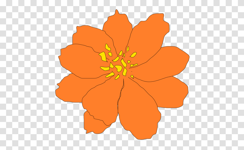 Cosmos Clipart, Petal, Flower, Plant, Blossom Transparent Png