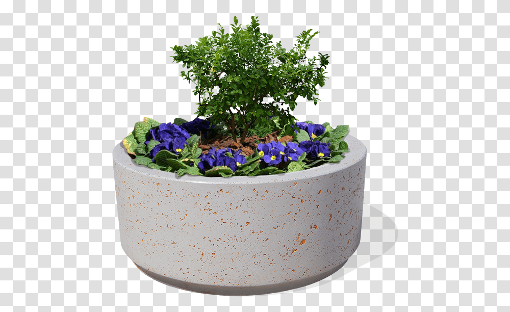 Coss Model Circular Planter Made Of Cement Flowerpot, Potted Plant, Vase, Jar, Pottery Transparent Png