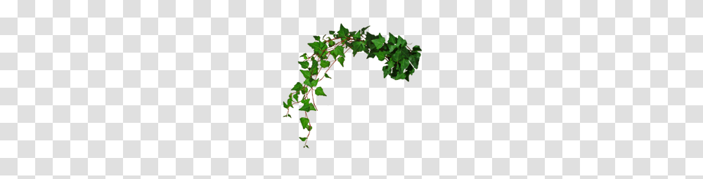 Cost And Prices, Plant, Furniture, Staircase, Ivy Transparent Png