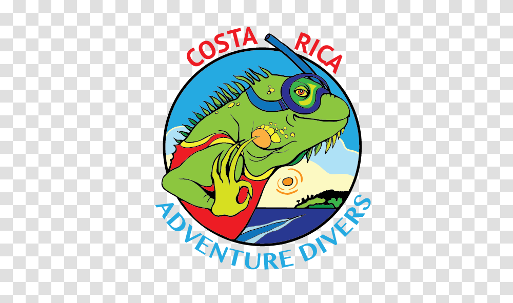 Costa Rica Adventure Divers, Iguana, Lizard, Reptile, Animal Transparent Png