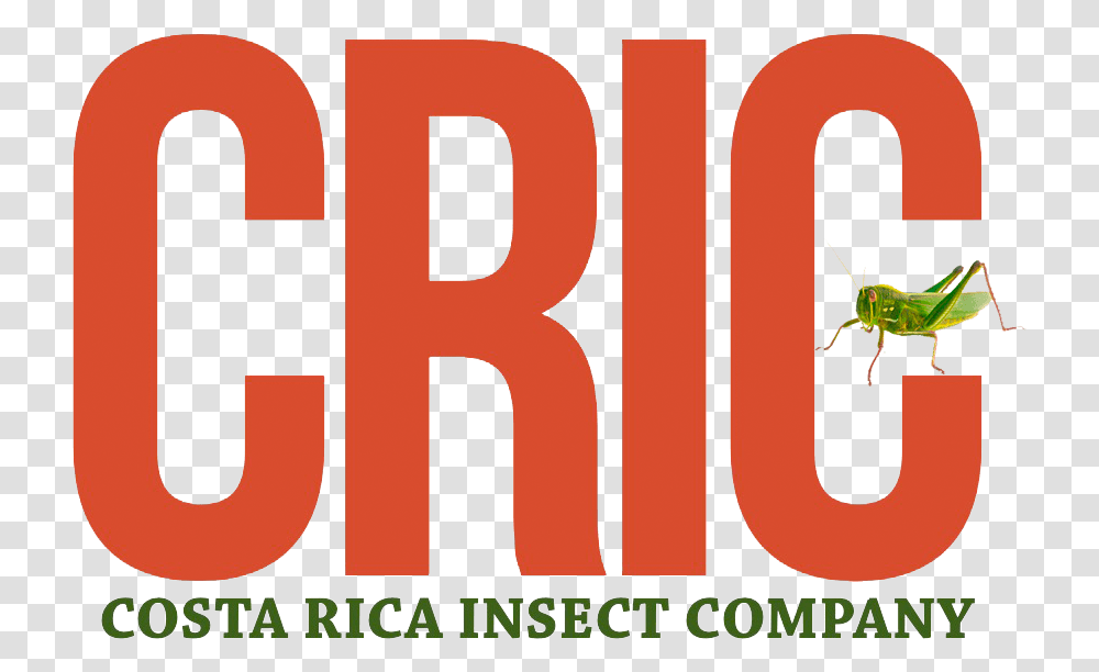Costa Rica Insect Company, Word, Number Transparent Png