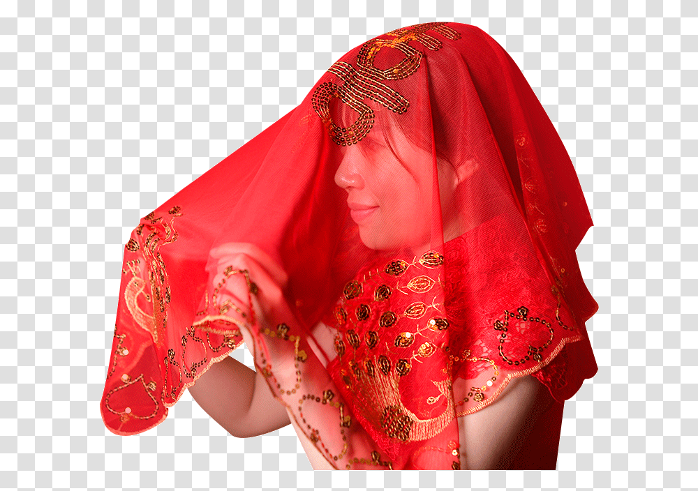 Costume, Apparel, Sari, Silk Transparent Png