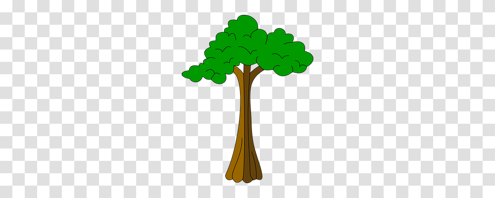 Cotton Nature, Tree, Plant, Cross Transparent Png