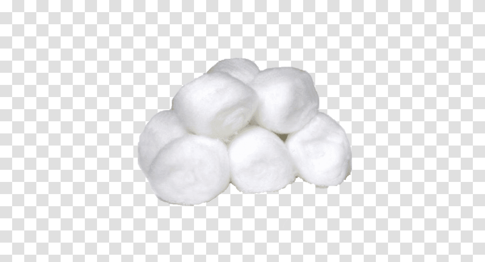 Cotton Ball, Rose, Flower, Plant, Blossom Transparent Png